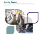 abares-urgently-seeks-feedback-on-chicken-meat-industry-review