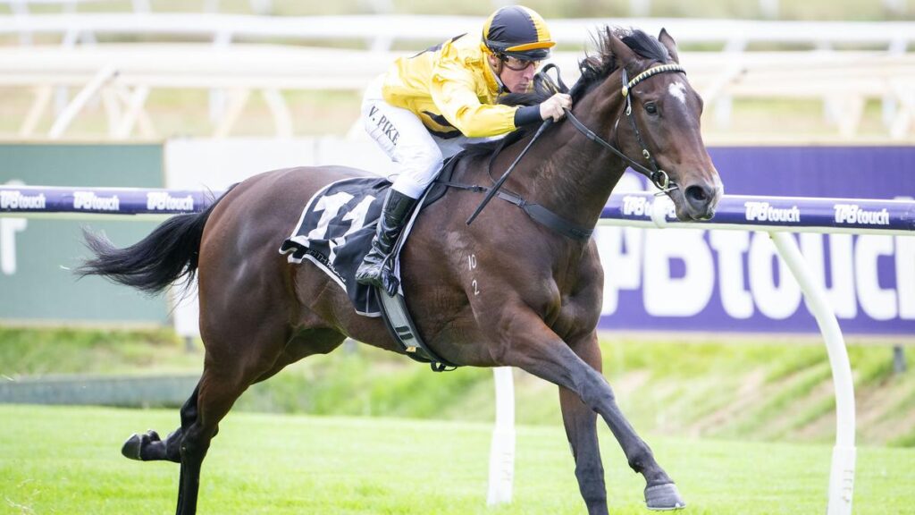 Snitzalatte wins at Ascot for jockey William Pike