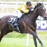 Snitzalatte wins at Ascot for jockey William Pike