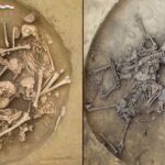 ancient-ritualized-killings-uncovered-in-france-s-neolithic-pits