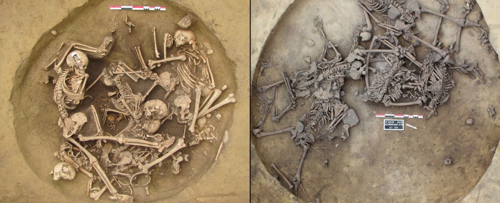 ancient-ritualized-killings-uncovered-in-france-s-neolithic-pits