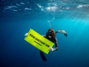australia-faces-pressure-to-ratify-high-seas-treaty-now