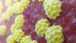 australia-faces-surge-in-stis-kirby-institute-reports-alarming-trends