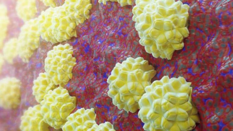 australia-faces-surge-in-stis-kirby-institute-reports-alarming-trends