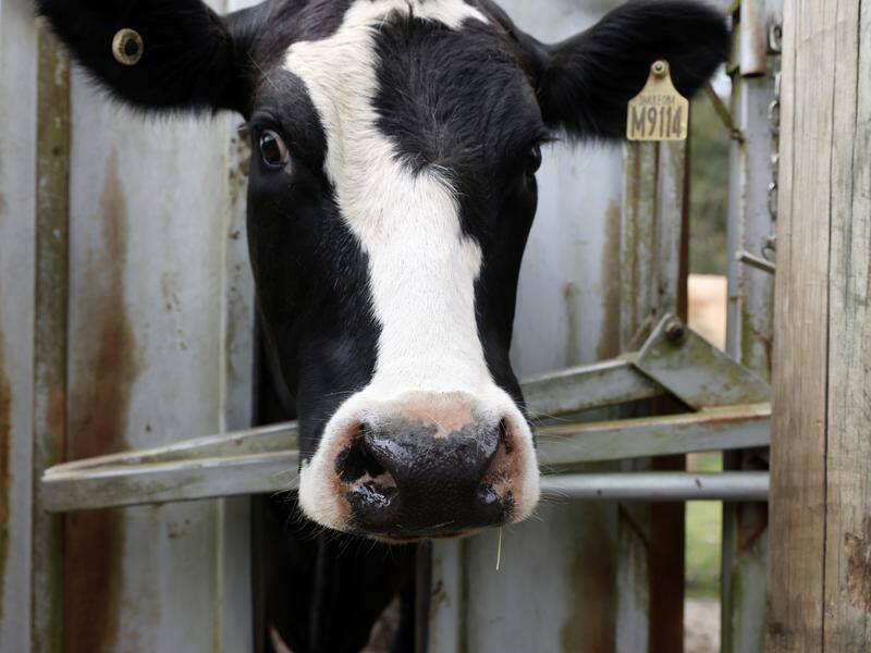 australia-s-agriculture-set-for-record-100-billion-boost-