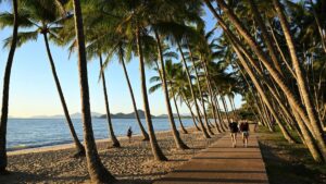 australia-s-nature-yields-510-billion-but-demands-more-investment