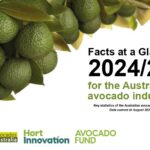 australian-avocado-production-surges-to-aud-794-million-in-2024-25