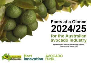 australian-avocado-production-surges-to-aud-794-million-in-2024-25