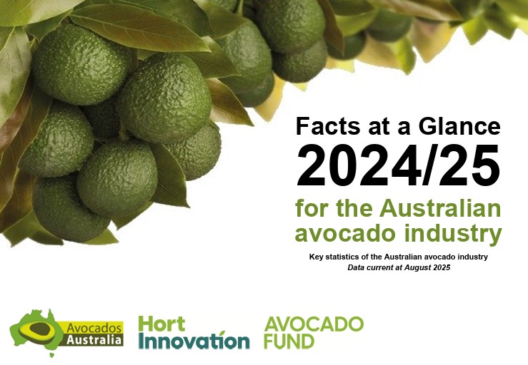 australian-avocado-production-surges-to-aud-794-million-in-2024-25