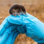 australian-farmers-prioritize-climate-change-in-new-study-findings