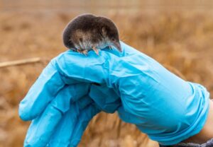 australian-farmers-prioritize-climate-change-in-new-study-findings