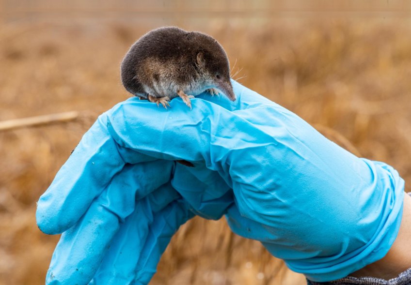 australian-farmers-prioritize-climate-change-in-new-study-findings