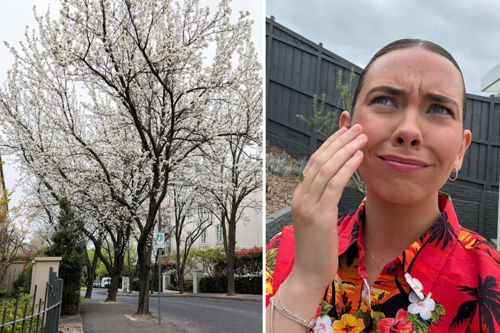 australian-woman-gags-from-stench-of-popular-backyard-trees
