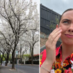 australian-woman-gags-from-stench-of-popular-backyard-trees