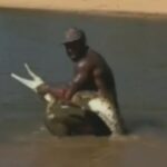 authorities-launch-urgent-investigation-into-influencer-s-croc-grab