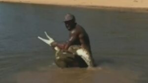 authorities-launch-urgent-investigation-into-influencer-s-croc-grab