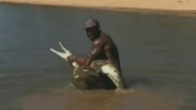 authorities-launch-urgent-investigation-into-influencer-s-croc-grab