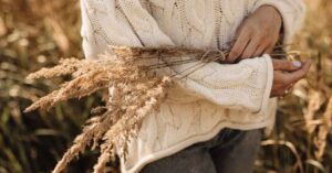 autumn-reset-embrace-change-and-nourish-your-body-now
