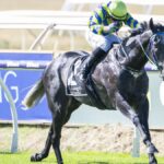 Snowdome wins the 2025 Cyril Flower Stakes for jockey Brad Parnham