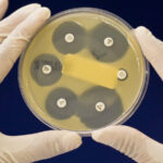billions-unutilized-in-australia-s-24-billion-medical-research-fund