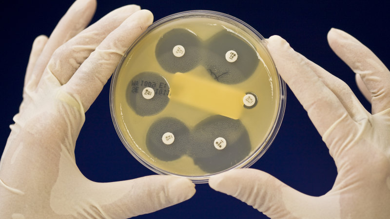 billions-unutilized-in-australia-s-24-billion-medical-research-fund