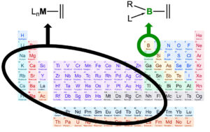 boron-emerges-as-metal-alternative-in-catalytic-processes
