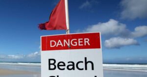 breaking-fatal-shark-attack-at-sydney-s-long-reef-beach