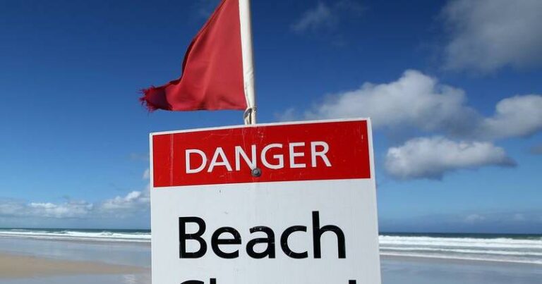 breaking-fatal-shark-attack-at-sydney-s-long-reef-beach