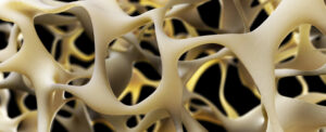 breakthrough-study-identifies-method-to-strengthen-bones