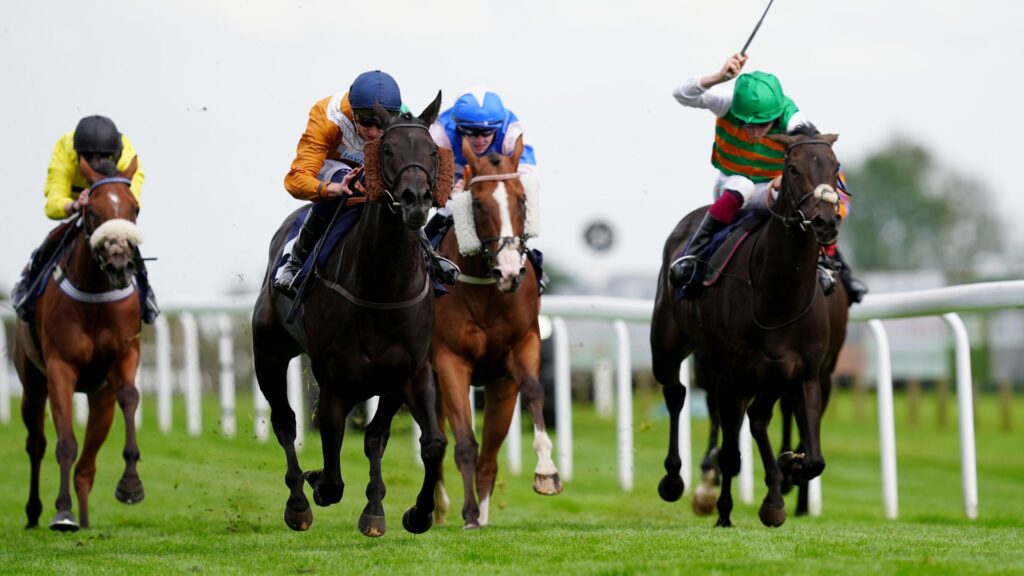 british-horseracing-industry-to-strike-over-proposed-tax-increase