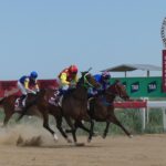 brothers-journey-3-000km-for-historic-birdsville-races