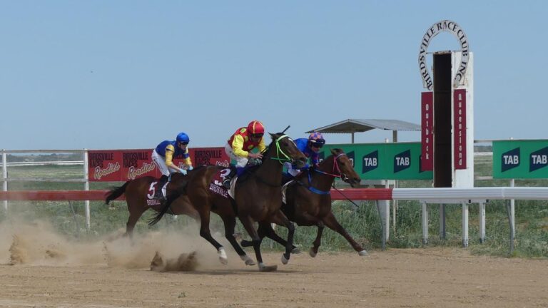 brothers-journey-3-000km-for-historic-birdsville-races