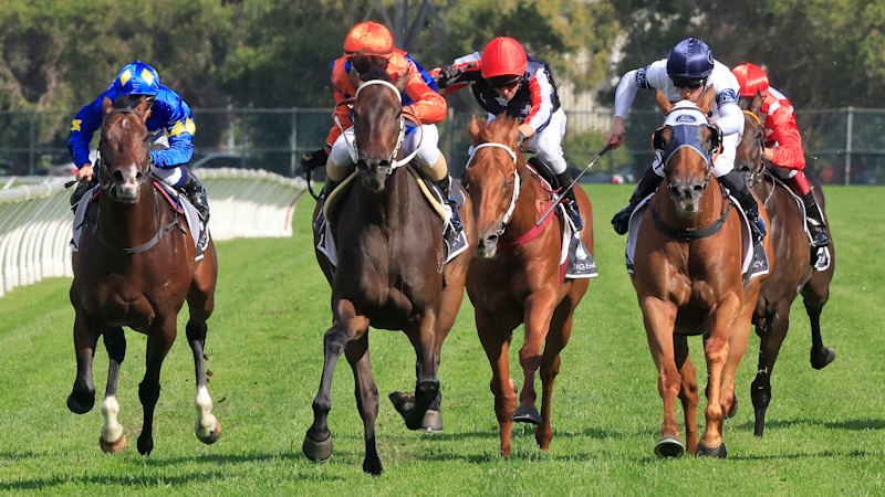 dubbo-race-day-must-watch-horses-and-tips-for-sunday-s-action