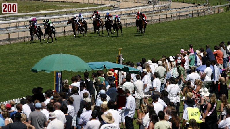 exciting-lineup-at-wyong-race-previews-and-tips-for-friday