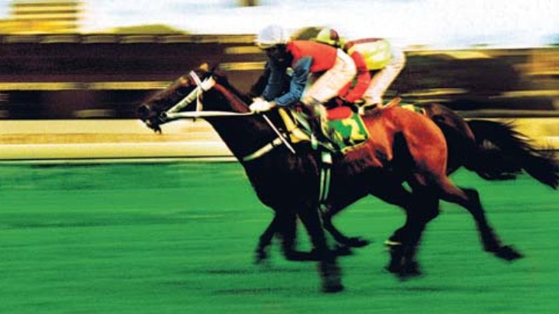 grafton-racing-today-key-picks-and-insights-for-races