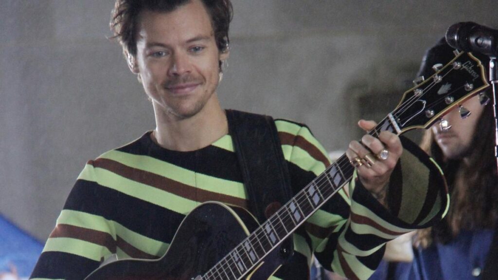 harry-styles-faces-neighbour-opposition-over-mansion-plans