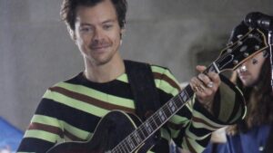 harry-styles-faces-neighbour-opposition-over-mansion-plans