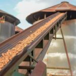 kingaroy-s-peanut-industry-returns-to-local-hands-as-crumpton-group-buys-assets