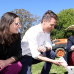 labor-and-liberals-face-off-in-kiama-by-election-following-ward-s-exit