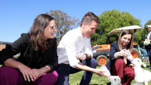 labor-and-liberals-face-off-in-kiama-by-election-following-ward-s-exit