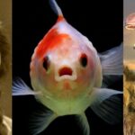 major-scientific-discoveries-unveiled-diamonds-dna-and-more