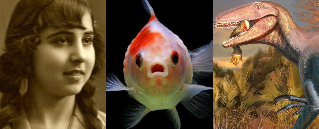 major-scientific-discoveries-unveiled-diamonds-dna-and-more