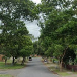 man-dead-woman-seriously-injured-in-domestic-assault-in-sydney