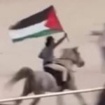 man-rides-horse-with-palestinian-flag-at-bondi-beach-urgent-scene