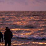 marine-life-thrives-on-wwii-explosives-in-baltic-sea