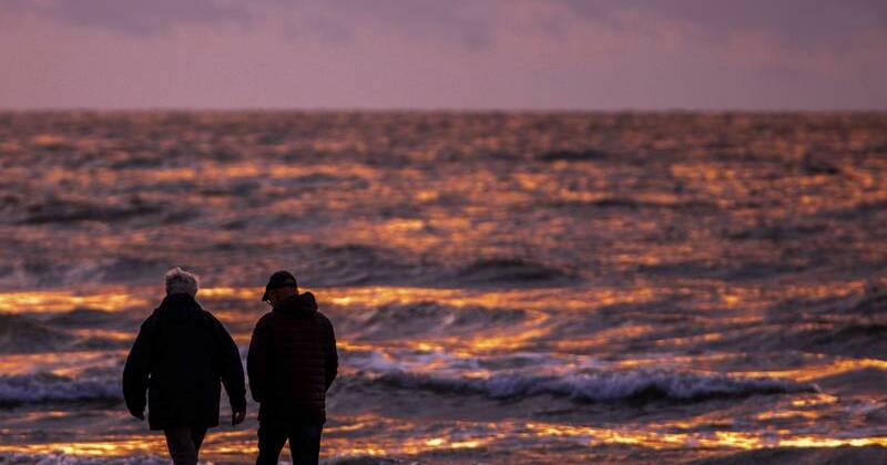 marine-life-thrives-on-wwii-explosives-in-baltic-sea