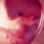 microplastics-may-threaten-fetal-development-urgent-research-needed
