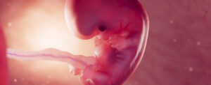 microplastics-may-threaten-fetal-development-urgent-research-needed
