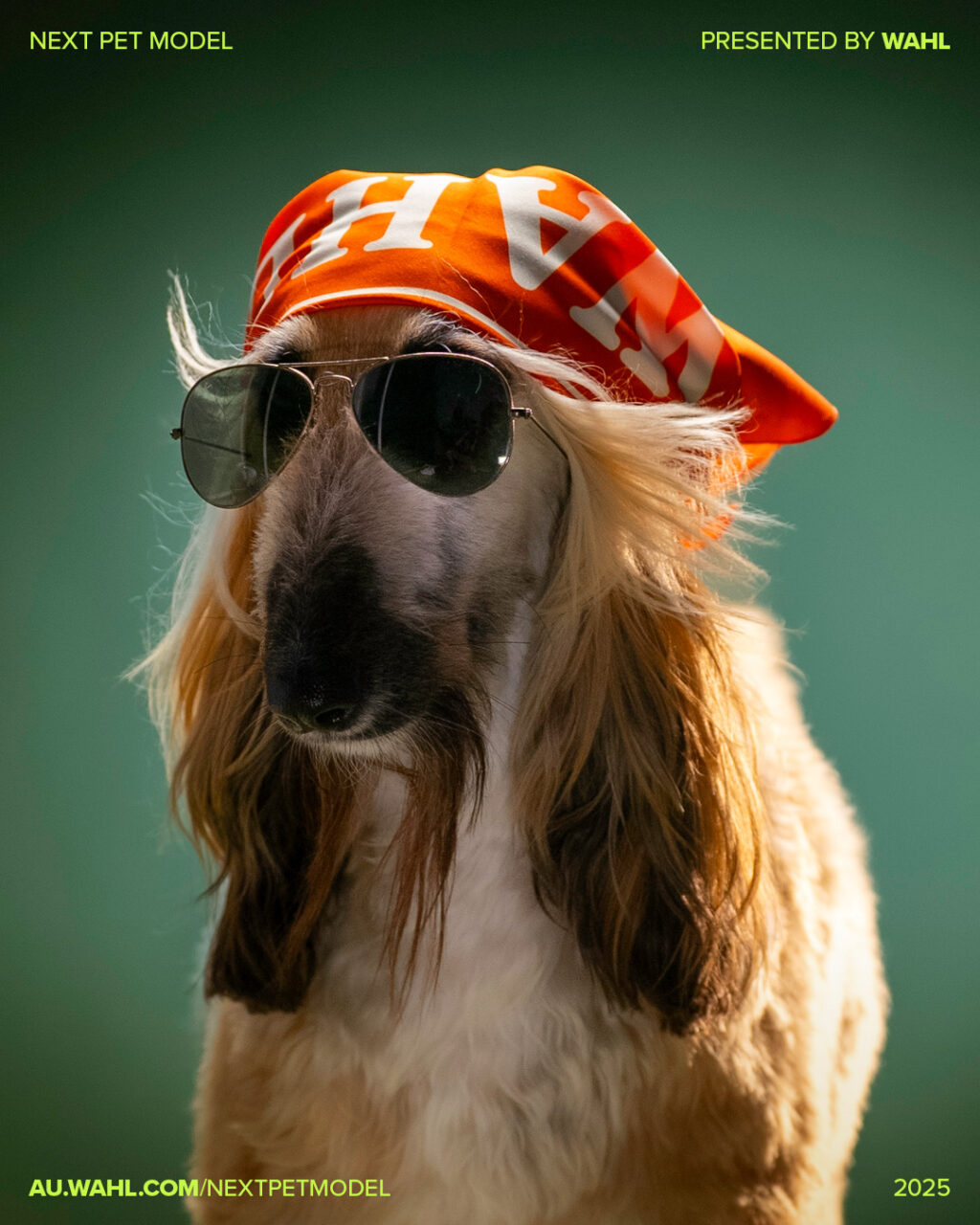 millennials-spend-3-420-yearly-on-pets-gen-z-demands-eco-care