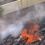 mother-escapes-fiery-narellan-vale-home-after-son-s-alleged-arson